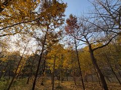-昆嵛山石门里景区
