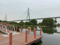 -芒洲湿地公园