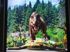 -湖南省地质博物馆