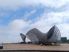 -南汇嘴观海公园