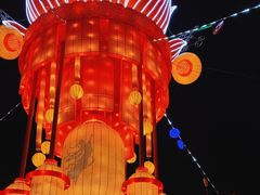 -淄博花灯齐彩城