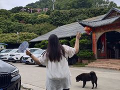 -全汁全味驴庄(凤岗店)