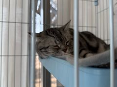 -猫的天空之城概念书店(北戴河蔚蓝海岸店)