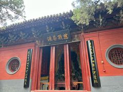 -洛阳白马寺