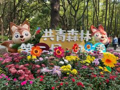 -上海共青森林公园