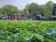 -四川大学(望江校区)