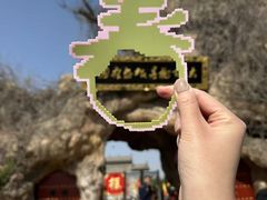 -大槐树寻根祭祖园