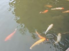 -珠海圆明新园