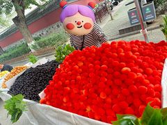 -普陀宗乘之庙(小布达拉宫)