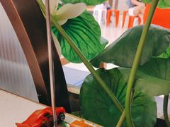 -新辣道鱼火锅(上地华联店)