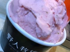 -野人先生现做冰淇淋(西安赛格店)
