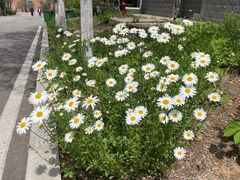 -山东大学(兴隆山校区)