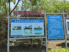 -江滩湿地公园