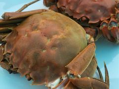 -西湖船菜(湖滨·碧水山庄店)