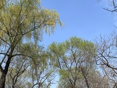 -北陵公园