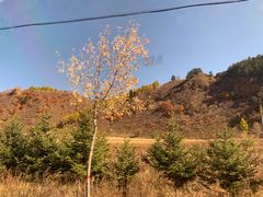 -塞罕坝国家级自然保护区