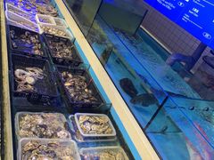 水产区-日进一片海.生腌海鲜火锅.宵夜烧烤(三里屯总店)