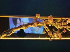 -大桶大足浴(广灵店)