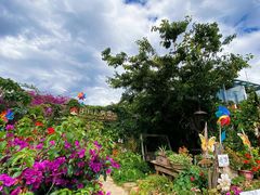 -明月山庄私房菜(环海东路店)