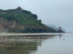 -大鹿岛