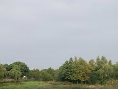 -贡湖湾湿地公园