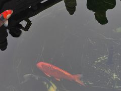 -西安市广仁寺