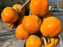 -新疆美食兰州拉面家常菜