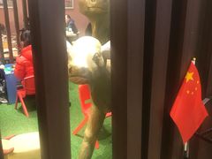 -朱氏牛鼎记鲜牛火锅(山水华庭店)