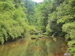-龙苍沟森林公园