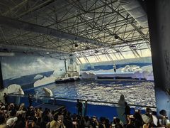 -秦皇岛乐岛海洋王国