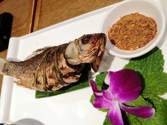 -滇越乘象云南餐厅(次渠店)