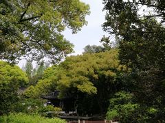 -汇龙潭