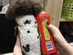 -爱宠屋pet shop·宠物洗澡·宠物美容