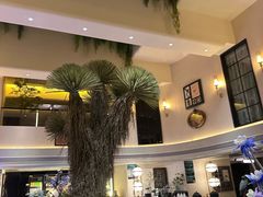 -大逸传奇·足道SPA(天美店)