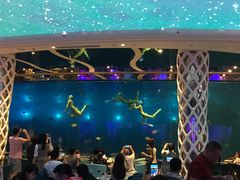 -瑞德姆美人鱼海底演艺主题餐厅(亚龙湾店)