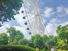 -凤岭儿童公园
