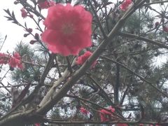 -西安曲江寒窑遗址公园