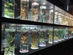 -广东中医药博物馆
