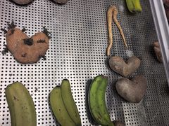 -墨江北回归线标志园