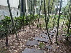 -苏州环秀晓筑养生度假村