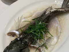 -稻香酒家·35年老字号(侨光店)