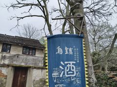 -乌镇景区