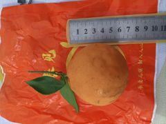 -鲜果壹号(苏站路店)