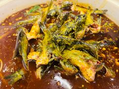 -金海椒罐罐鲢鱼(东方桂苑店)