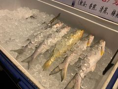 -新辉港式茶餐厅(北栅店)