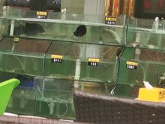 -四海鲜渔家菜(黄金海岸店)