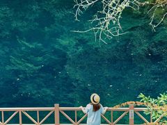 -叠溪松坪沟景区