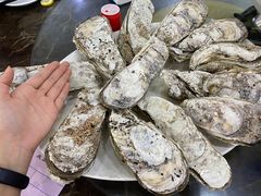 -蚝专家(北滘店)