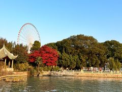 -无锡蠡湖国家湿地公园-蠡园