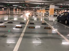 -上海海昌海洋公园-停车场